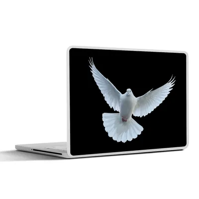 Produktbild von MuchoWow® Laptop Aufkleber Sticker Cover Taube - Vogel - Schwarz - Weiß - Porträt 25x18 cm - Laptop-Deko