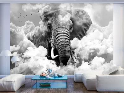 Produktbild von Vlies Fototapete Elefant 400x280 cm Tapeten Wandtapete XXL Himmel g-C-0087-a-c