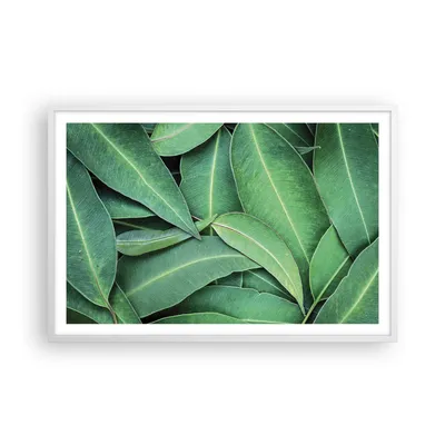Produktbild von Gerahmtes Poster - Weißer Rahmen - Blätter Eukalyptus Natur - 91,5x61 cm - Wand Bild - Wanddeko - Wandbilder - Kunstposter - Wandposter - Bilderrahmen - Bilder - Kunstdruck - P2WAA91x61-4933