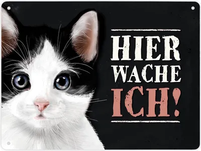 Produktbild von Hier wache ich! Metallschild XL mit Katze Motiv Schild Blechschild