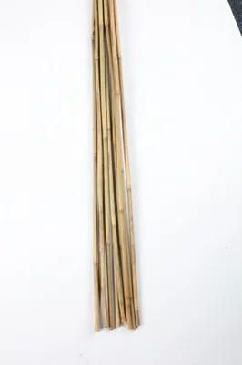 Produktbild von 10er Set Bambus-Stangen L 90cm, ø 8-10mm Rankhilfe Pflanzenstab Stange Stütze