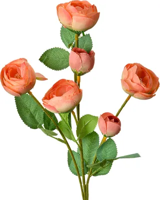 Immagine prodotto di Fiore artificiale Clayre & Eef 60 cm plastica rosa