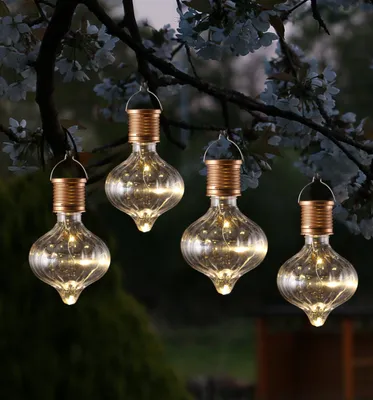 Four solar-powered LED bulbs hanging from a tree branch at dusk.