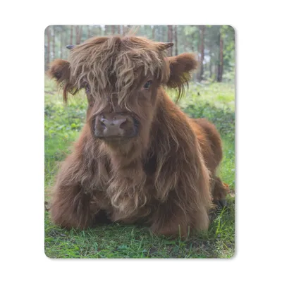 Produktbild von MuchoWow® Mauspad Mousepad Schottischer Highlander - Kröte - Tiere 30x40 cm - Mousepads - Maus Mat - Pad - Mausunterlage - Mausmatten