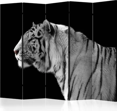 Produktbild von 5-teiliger Einseitiger Vlies Paravent - White tiger II 225x172 cm Tiere g-C-0213-z-c