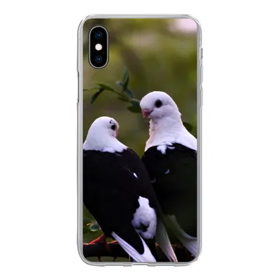 Produktbild von MuchoWow® Handyhülle Schutzhülle Hülle für iPhone Xs Vögel - Zweig - Blätter Silikon Softcase Handy Hülle - Handytasche