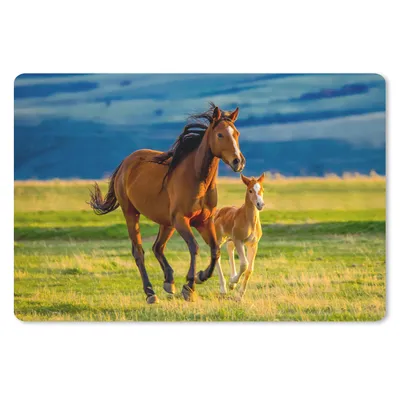 Produktbild von MuchoWow® Mauspad Mousepad Pferde - Gras - Tiere - Landschaft - Natur 27x18 cm - Mousepads - Maus Mat - Pad - Mausunterlage - Büroartikel - Desk Matten