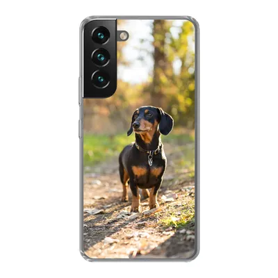 Produktbild von MuchoWow® Handyhülle Schutzhülle Hülle für Samsung Galaxy S22 Ein schöner Dackel im Wald Silikon Softcase Handy Hülle - Mobiltelefonhülle