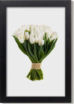 Produktbild von Bild 20x30 MDF-Rahmen, Wandkunst Weiße Tulpen