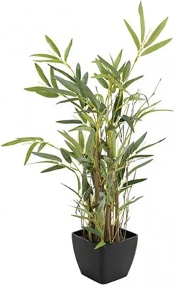 Produktbild von Davartis - Deko Bambus Baum - 60cm, Kunststoff