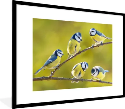 Produktbild von MuchoWow® Gerahmtes Poster Vogel - Blaumeise - Äste - Sonne 80x60 cm - Poster mit Schwarzem Bilderrahmen Wandposter Rahmen Foto Bilder - Schlafzimmer-Dekorationen - Fotoposter