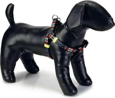 Produktbild von Beeztees Mucadi - Hundegeschirr - bunt - 26-40 cm x 10 mm