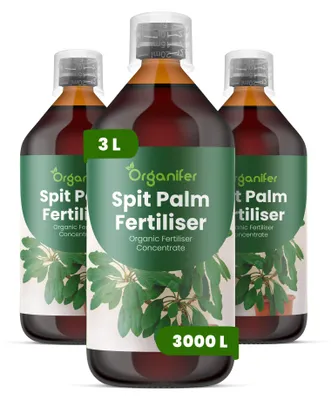 Produktbild von Spitpalmen Flüssigdünger 3x1L – 2-1-8 NPK – Flüssig-Pflanzendünger für Spitpalmen – Organifer