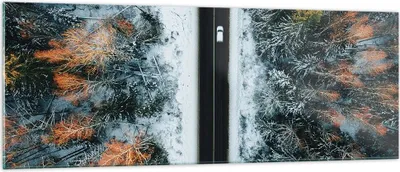 Produktbild von Bilder auf glas - Einteilig - Wald Weg Schnee - 140x50cm - Glasbilder - Wandbilder - Bilder - zum Aufhängen bereit - Wanddekoration aus Glas - Glas Bilder - Wandbild auf Glas - GAB140x50-4654