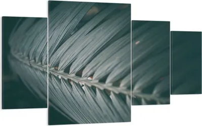 Produktbild von Bild auf Leinwand - Leinwandbild - 4 Teile - Blatt Palme exotisch - 160x90cm - Wand Bild - Wanddeko - Wandbilder - Leinwanddruck - Bilder - Wanddekoration - Leinwand bilder - Wandbild - DL160x90-4907