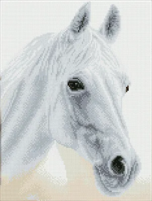 Produktbild von Diamond Dotz Diamond Painting Set Arabian Beauty Erwachsene Bastelset