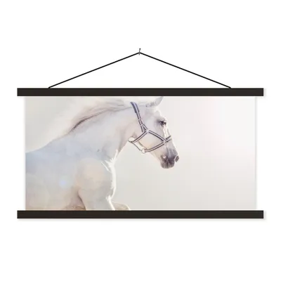 Produktbild von MuchoWow® Textilposter Pferd - Weiß - Mähne 60x30 cm mit schwarzem Rahmen - Textilien