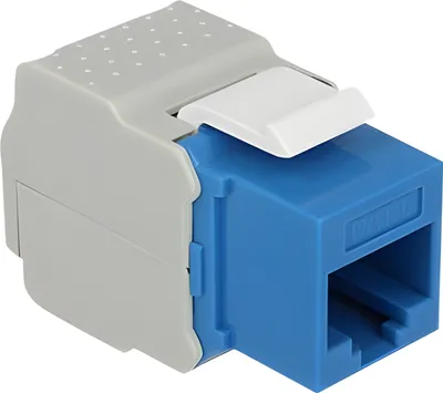 Zdjęcie produktu dla DeLOCK 86343, Niebieski, RJ-45, LSA