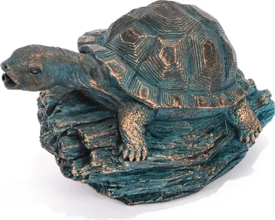 Produktbild von esotec Wasserspeier Schildkröte Marlis Einzelfigur mit Schlauch Polyresin 100770