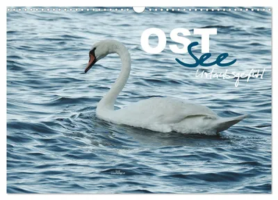 Produktbild von Ostsee - Urlaubsgefühl (Wandkalender 2027 DIN A3 quer), CALVENDO Monatskalender