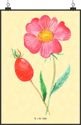 Produktbild von Mr. & Mrs. Panda Bild Blume Hagebutte DIN A2 - Gelb Pastell - Geschenk, Garten, drucke, wanddeko, wandkunst, Schlechte Gedanken, Plakat, Posterdruck, Lebensfreude