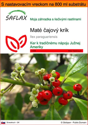 Obrázok produktu pre SAFLAX Garden in the bag - Maté čajový krík - Ilex paraguariensis - 10 Semená - S pestovateľským substrátom v praktickom samostaviteľnom vrecku