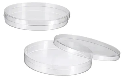 Petrischalen 90 mm mit Deckel, 2er-Set, transparent, Kunststoff