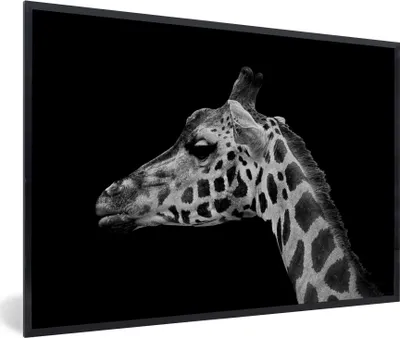Produktbild von MuchoWow® Gerahmtes Poster Tiere - Giraffe - Schwarz - Weiß 90x60 cm - Poster mit Schwarzem Bilderrahmen Wandposter Rahmen Foto Bilder - Fotorahmen - Foto-Plakat