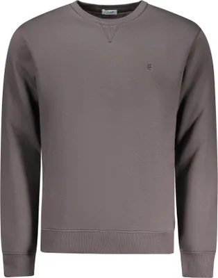 Produktbild von Graues Herren-Sweatshirt: Gefüttert & mit Stickerei, ohne Reißverschluss
