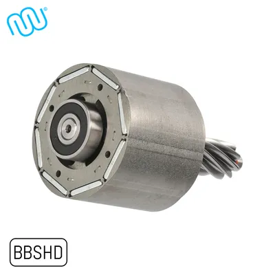 Obrázok produktu pre windmeile | Bafang rotor s ložiskom pre BBSHD, verzia B, priemer hriadeľa 8mm, originálny náhradný diel, bicykel, e-bike, elektrobicykel, pedelec