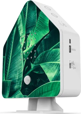 Image de Boîte à sons naturels Oiseau Chant Gazouillis d'oiseau Détecteur de mouvement Bruits d'oiseaux Lumière Rechargeable