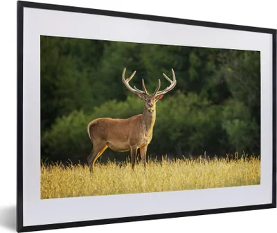 Produktbild von MuchoWow® Gerahmtes Poster Hirsch - Geweih - Gras - Natur - Tiere - Grün 60x40 cm - Poster mit Schwarzem Bilderrahmen Wandposter Rahmen Foto Bilder - Schlafzimmer - Plakat in Rahmen - Drucken
