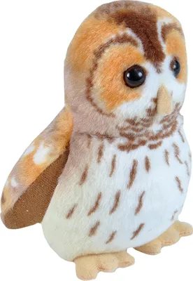 A plush toy owl is shown against a white background.