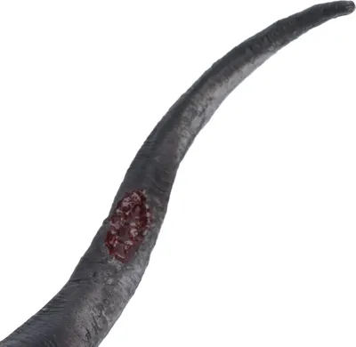 Image de Modèle de squelette de dinosaure pour enfants, figurine préhistorique réaliste et unique, collection de jouets, dinosaures