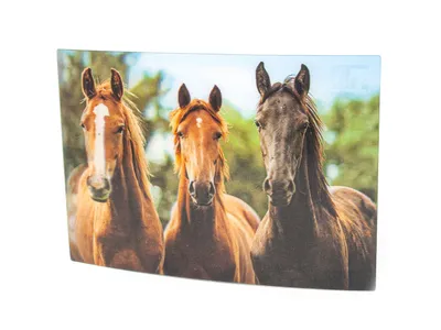 Produktbild von 3 D Ansichtskarte braune Pferde, Postkarte Wackelkarte Hologrammkarte Tiere Tier Pferd Pony