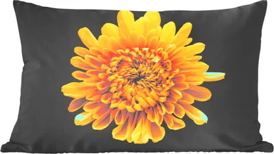 Produktbild von MuchoWow® Zierkissen Sofakissen Wohnzimmer Dekokissen 50x30 cm Eine gelbe Chrysantheme auf schwarzem Hintergrund - Wohnzimmerdekoration - Polster mit Photo
