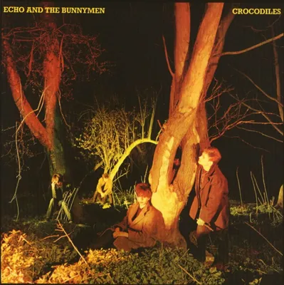 Immagine prodotto di Echo & The Bunnymen: Crocodiles (remasterizzato) (edizione da 180g)