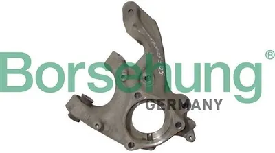 Produktbild von Borsehung B12114 Achsschenkel Radaufhängung Lenkung für VW TIGUAN (AD1) Hinten Links