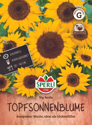 Produktbild von SPERLI Topfsonnenblumensamen Big Smile Helianthus annuus 15 Pflanzen