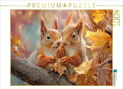 Produktbild von CALVENDO Puzzle Eichhörnchenliebe | 1000 Teile Lege-Größe 64x48cm Foto-Puzzle für glückliche Stunden