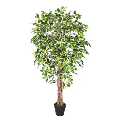 Produktbild von HOMESCAPES Kunstbaum Ficus Benjamini grün weiß 180 cm