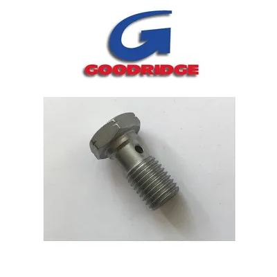 Immagine prodotto di Vite cava M10 x 1,25 argento