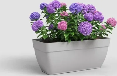 Obrázek produktu pro Artevasi Capri Campana Plant Box Xl, Šedá, 72 l, 790 mm, 370 mm, 335 mm, 2 kusů