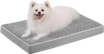 Image de Lit orthopédique pour petits chiens, coussin pour chien 73 x 45 x 7 cm, tapis lavable, coussin amovible, gris