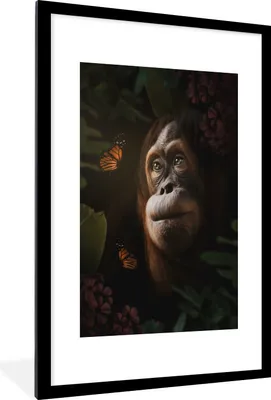 Produktbild von MuchoWow® MuchoWow® Gerahmtes Poster Schmetterling - Dschungel - Affe 60x90 cm - Poster mit zchwarzem Bilderrahmen - Dekoration - Wandposter Wohnzimmer - Hochwertig