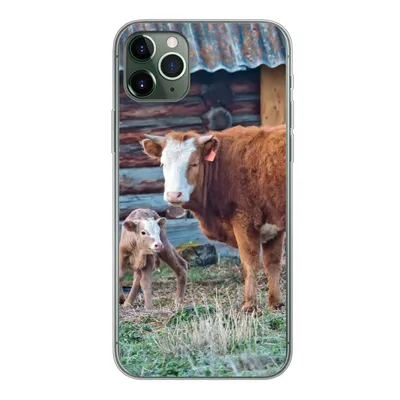 Produktbild von MuchoWow® Handyhülle Schutzhülle Hülle für iPhone 11 Pro Max Kuh - Stall - Gras - Kalb Silikon Softcase Handy Hülle - Schutz