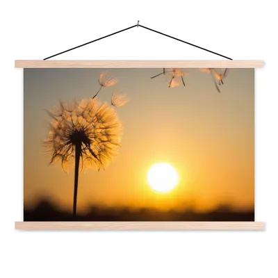 Obrázok produktu pre MuchoWow® Textilný plagát - Púpava - Slnko - Západ slnka - 60x40cm - S hnedými lamelami