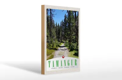 Produktbild von Holzschild Reise 20x30cm Tamangur Schweiz Natur Wald Bäume