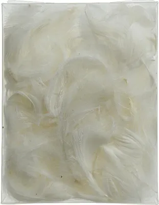 Produktbild von Kaemingk Osterdekoration: Weiße Deko-Federn, 5 cm Länge, 5 Gramm Inhalt