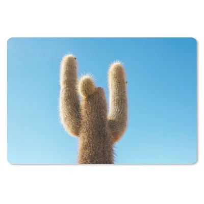 Produktbild von MuchoWow® Mauspad Mousepad Kaktus mit blauem Himmel 27x18 cm - Mousepads - Maus Mat - Pad - Mausunterlage - Büroartikel - Desk Matten